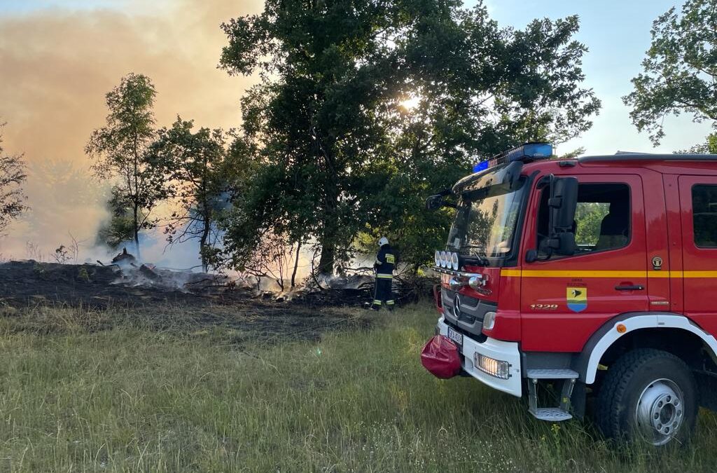 Pożar lasu na terenie gminy Sulęczyno